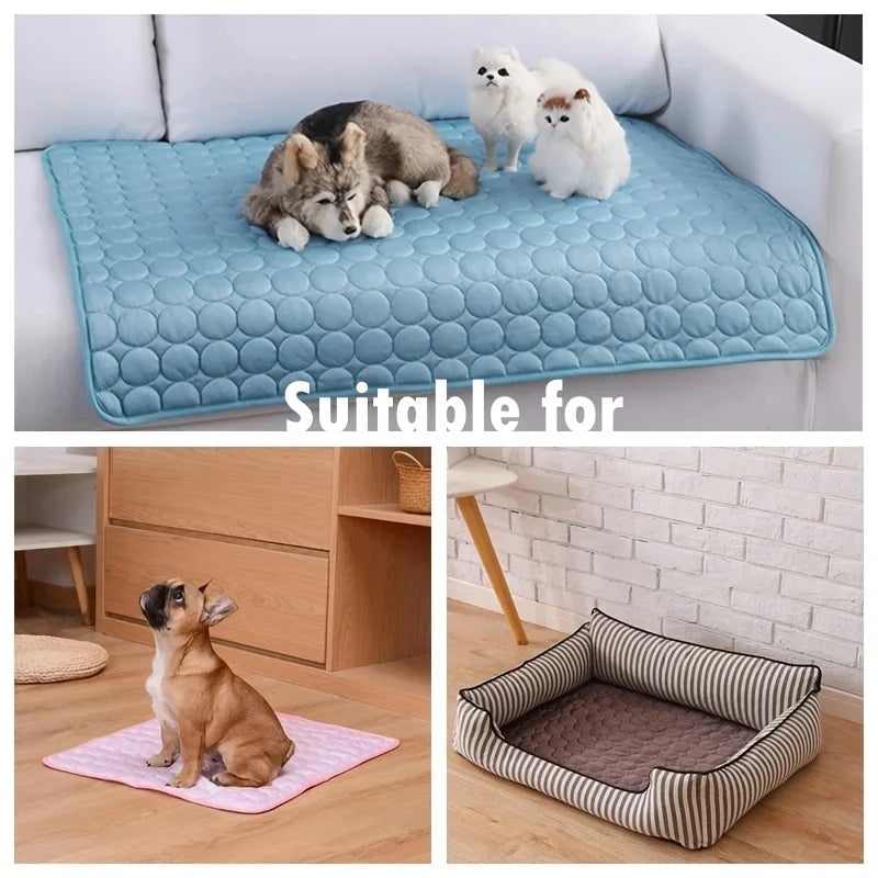 ❄️🐾 Tapete Refrescante para Cães – Conforto e Frescor para Todos os Tamanhos!