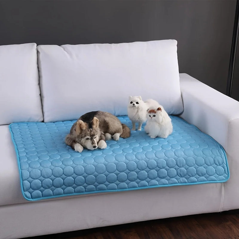 ❄️🐾 Tapete Refrescante para Cães – Conforto e Frescor para Todos os Tamanhos!