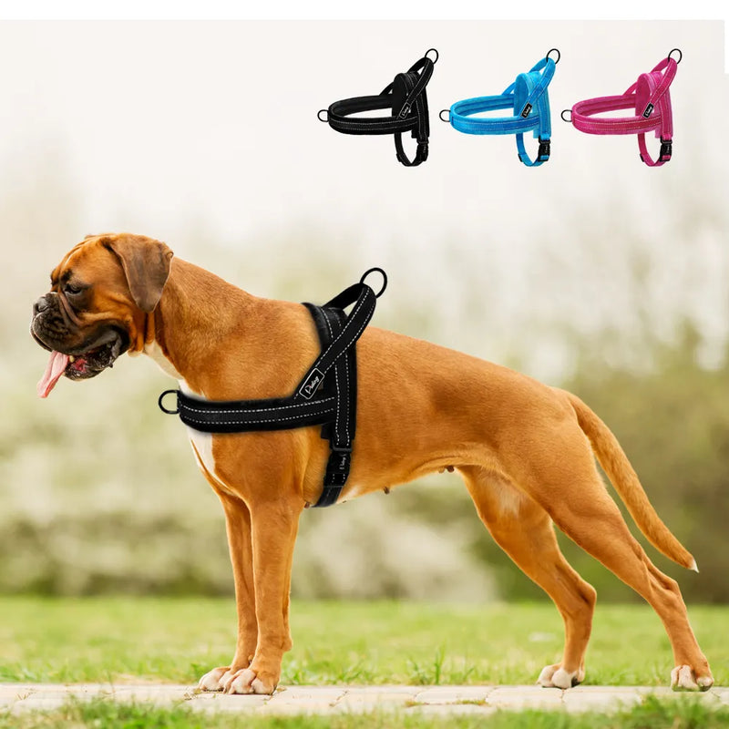 🐾✨ Peitoral Acolchoado Mimo Canino – Conforto Essencial para Todos os Passeios