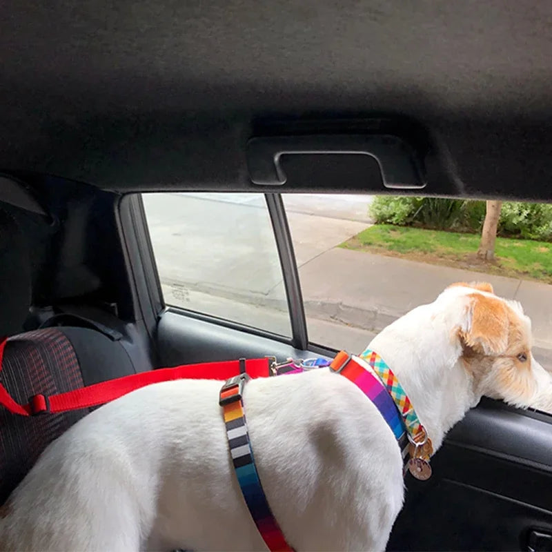 🚗🐾 Cinto de Segurança Ajustável para Pets – Segurança e Conforto em Todas as Viagens!