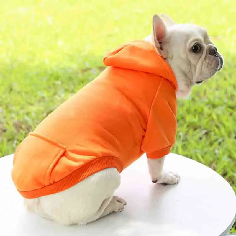 🐶✨ Casaco com Capuz para Cães – Conforto, Estilo e Praticidade em Todos os Passeios!