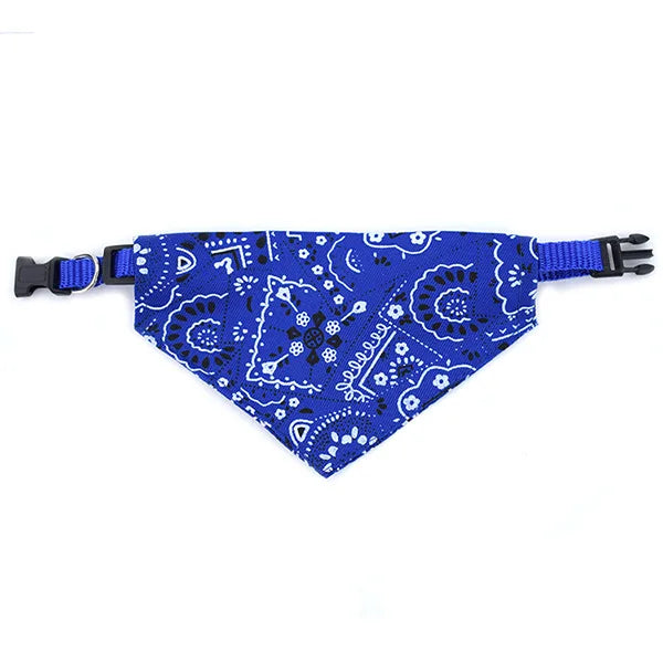 🌸🐾 Coleira com Bandana Floral&nbsp;