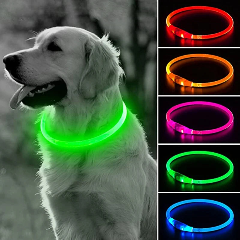 💡🐕 Coleira de LED Recarregável via USB – Visibilidade, Estilo e Segurança Noturna