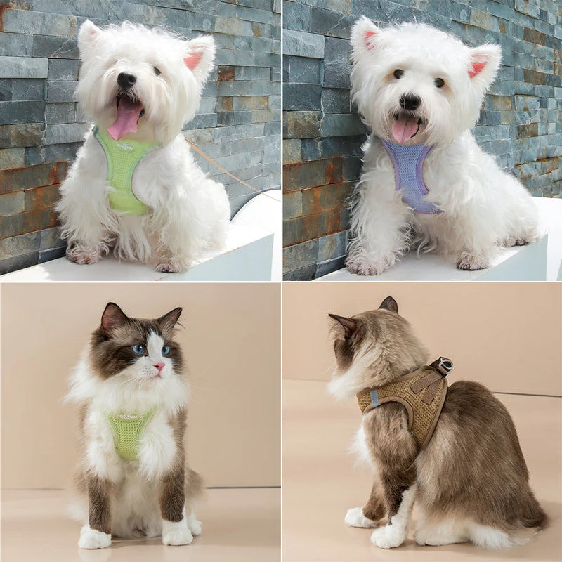 🐾 Colete com Guia Refletivo para Cães e Gatos – Conforto, Segurança e Estilo em Todas as Estações