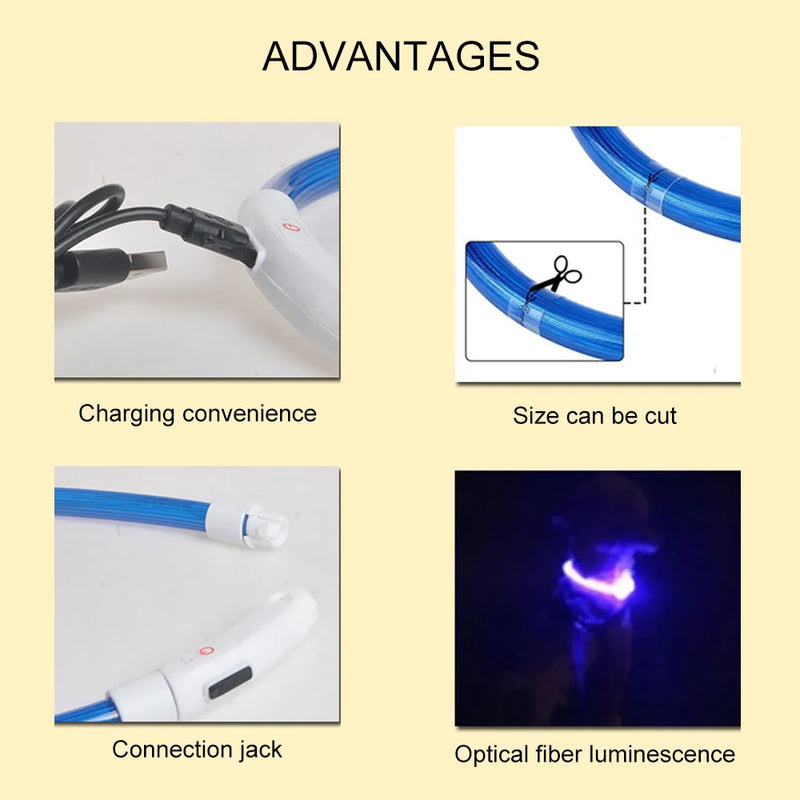 💡🐕 Coleira de LED Recarregável via USB – Visibilidade, Estilo e Segurança Noturna