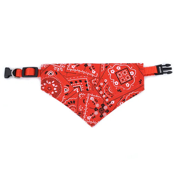 🌸🐾 Coleira com Bandana Floral&nbsp;