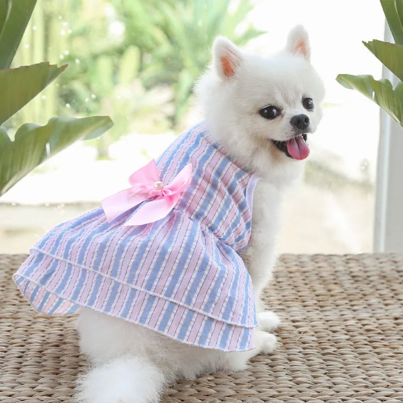 🎀🐶 VESTIDO PET "SAIA BORBOLETA"