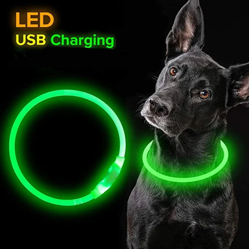 💡🐕 Coleira de LED Recarregável via USB – Visibilidade, Estilo e Segurança Noturna
