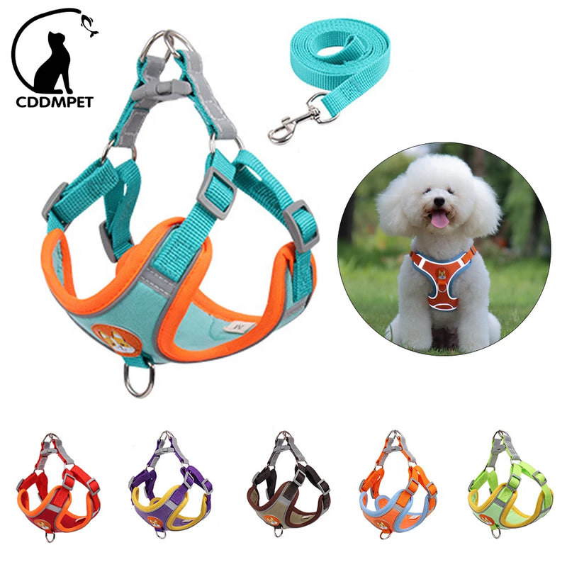 🐾 Arnês Refletivo Premium com Guia – Conforto e Elegância para os Passeios do Seu Pet