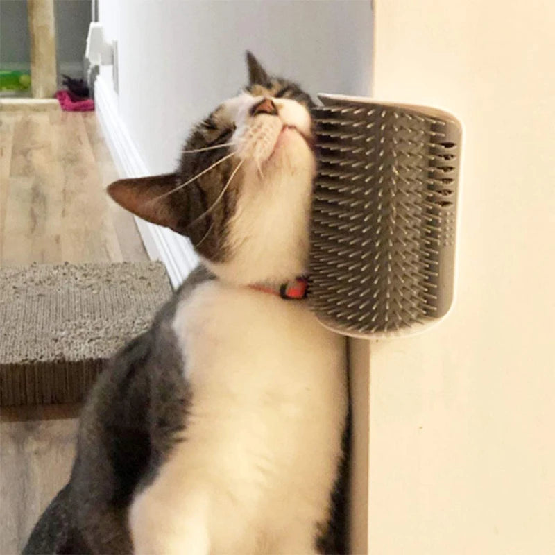 🐱 Escova de Canto para Gatos – Autocuidado e Bem-Estar na Medida Certa