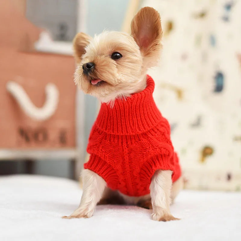 🧣🐾 CASACO DE LÃ PARA CÃES – WANGMEOW &nbsp;