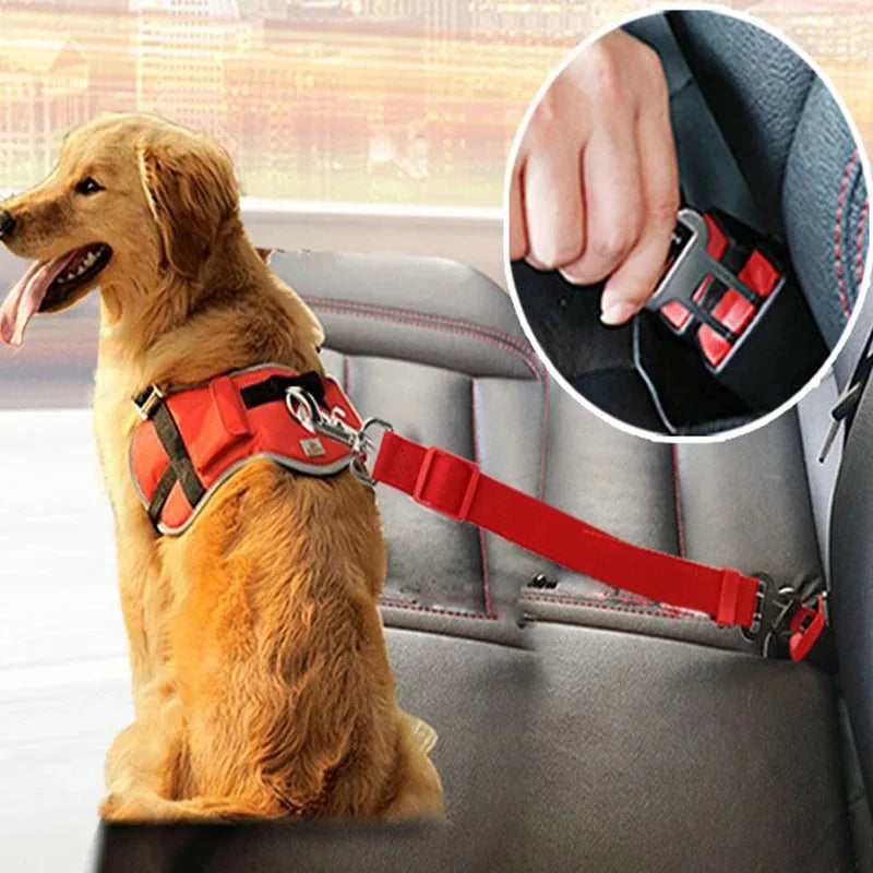 🚗🐾 Cinto de Segurança para Cães – Proteção, Conforto e Tranquilidade nas Estradas