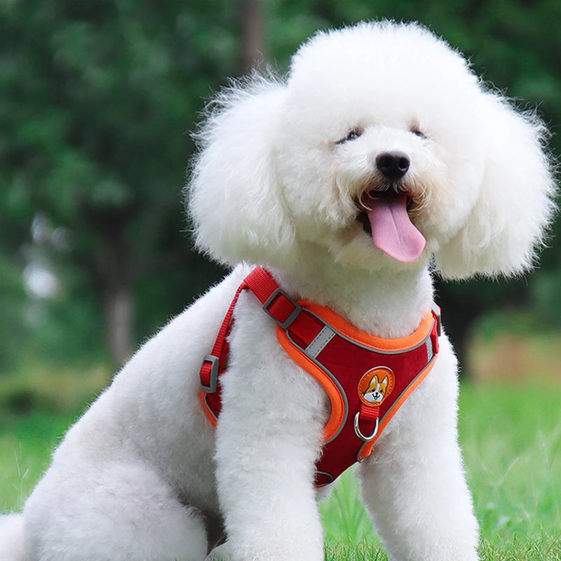 🐾 Arnês Refletivo Premium com Guia – Conforto e Elegância para os Passeios do Seu Pet
