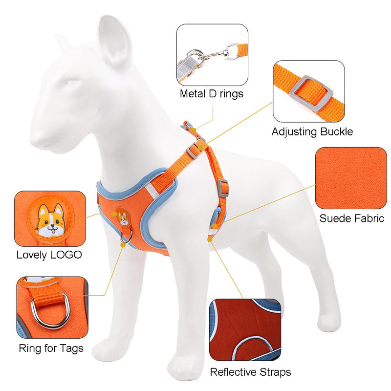 🐾 Arnês Refletivo Premium com Guia – Conforto e Elegância para os Passeios do Seu Pet