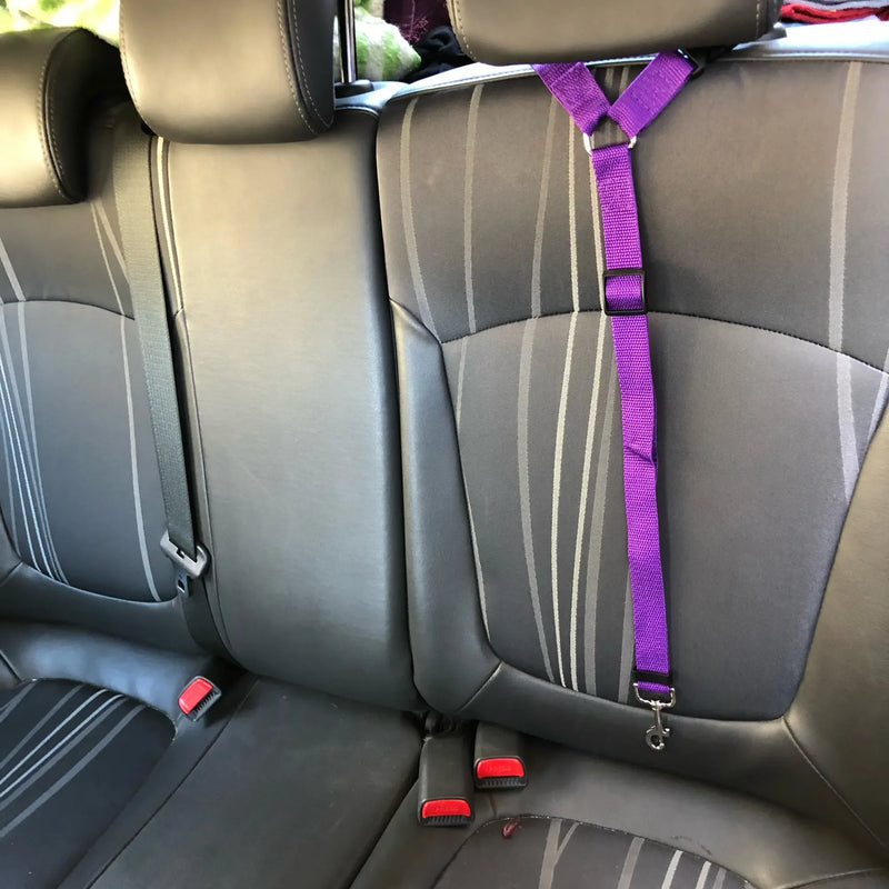 🚗🐾 Cinto de Segurança Ajustável para Pets – Segurança e Conforto em Todas as Viagens!