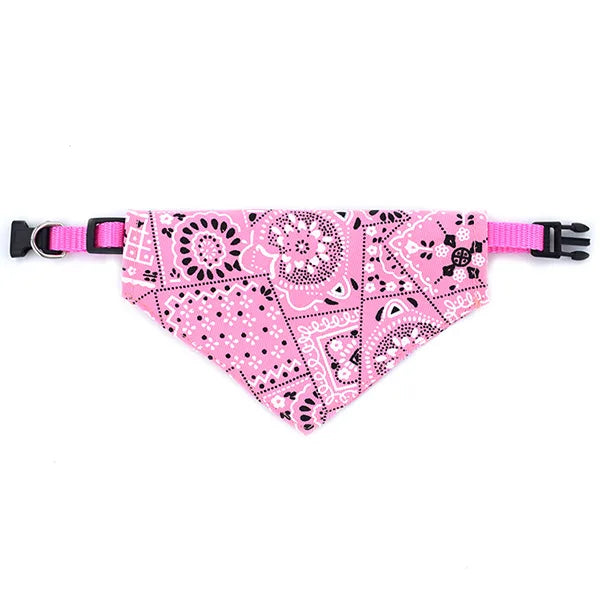🌸🐾 Coleira com Bandana Floral&nbsp;
