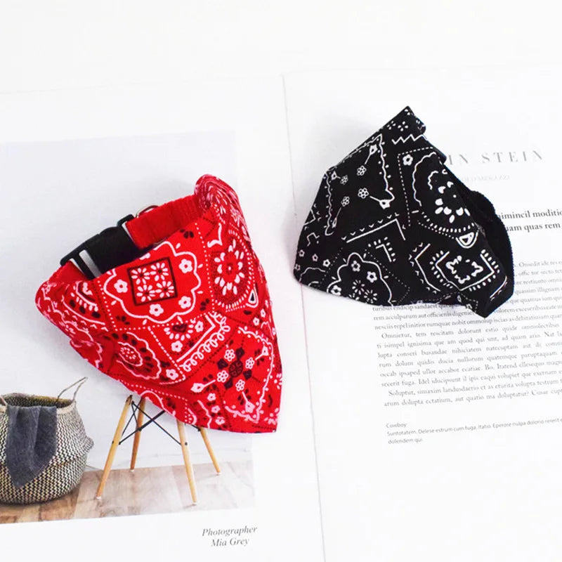 🌸🐾 Coleira com Bandana Floral&nbsp;