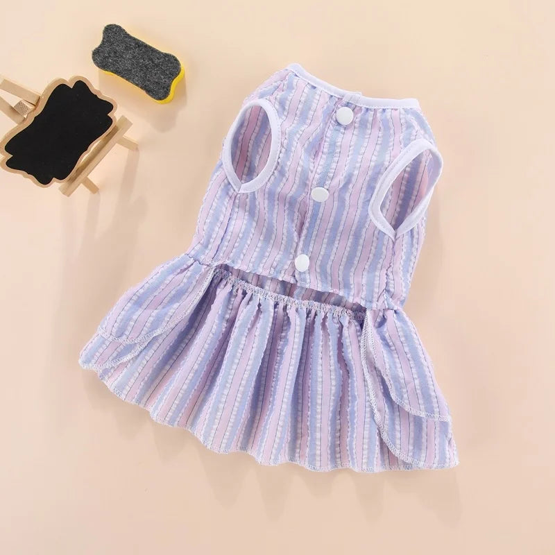 🎀🐶 VESTIDO PET "SAIA BORBOLETA"