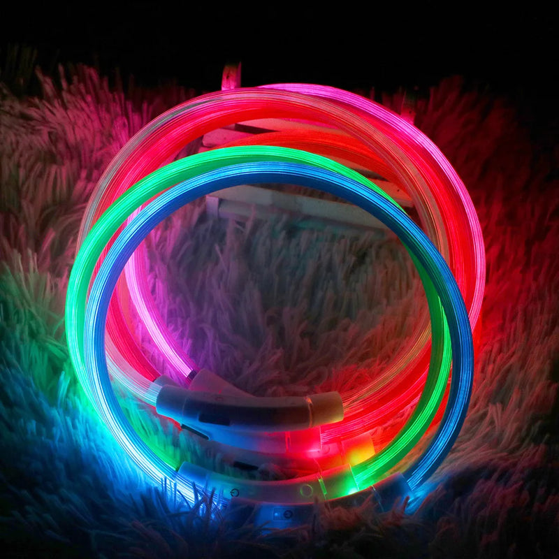 💡🐕 Coleira de LED Recarregável via USB – Visibilidade, Estilo e Segurança Noturna