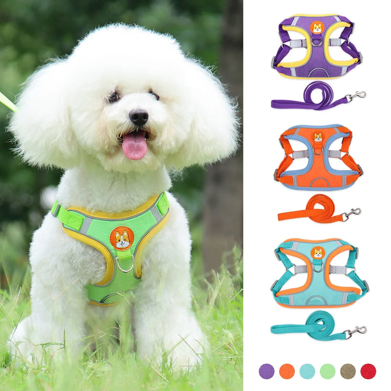 🐾 Arnês Refletivo Premium com Guia – Conforto e Elegância para os Passeios do Seu Pet
